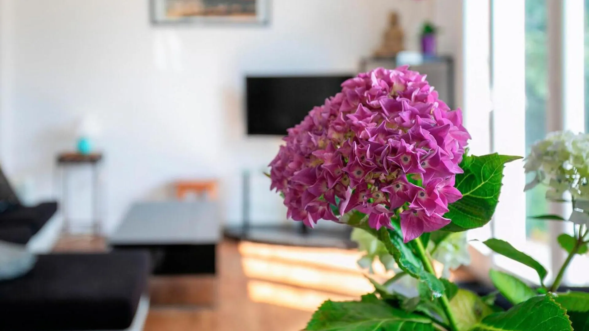 2 Bedroom Stunning Home In Ploumagoar בית נופש